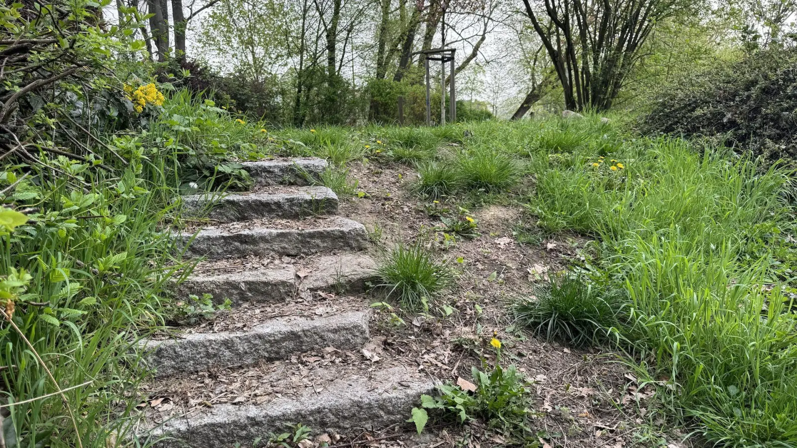 Eine alte Treppe im hinteren Bereich zum Großen Schöppenteich. (Foto: Daniel Große)