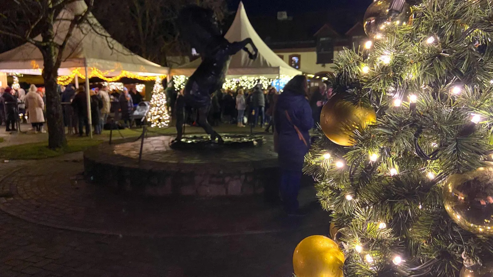 Der Weihnachtsmarkt am Gut Graßdorf findet wieder statt. Stimmungsvoll geschmückte Stände, viel Handgemachtes und Kulinarik erwartet die Besucher. (Foto: Daniel Große)