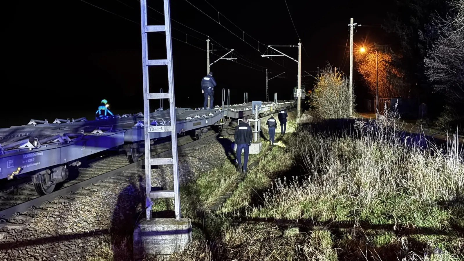 Rettungseinsatz an der Bahnstrecke in Pönitz. (Foto: Daniel Große)