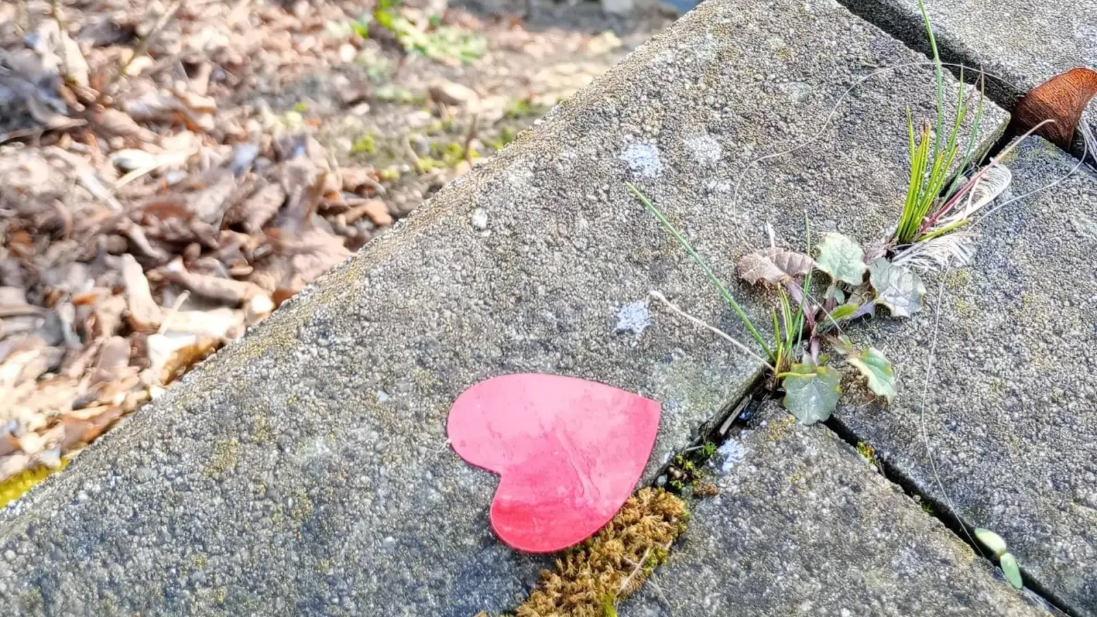 Ein Herz für die Umwelt (Foto: Zweckverband Parthenaue)