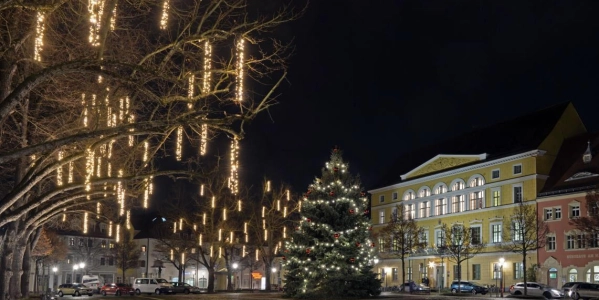 Weihnachtsbaum für Adventsmarkt Delitzsch gesucht (Foto: nordsachsen24.de)