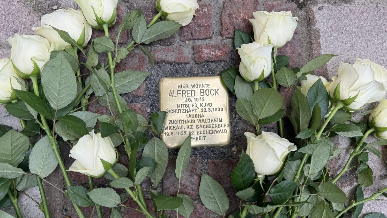 Tauchas erster Stolperstein gedenkt Alfred Bock. (Foto: Daniel Große)