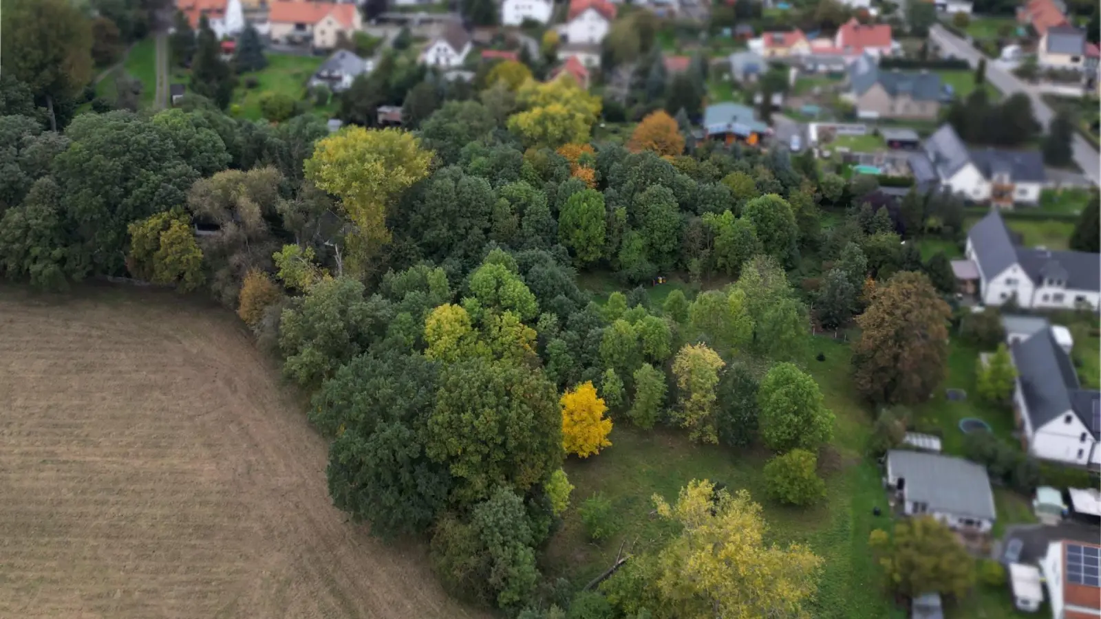 Auf dieser Fläche hinter der bestehenden Wohnbebauung entlang der Seegeritzer Straße am Ortseingang Merkwitz soll das neue, kleine Wohngebiet entstehen. (Foto: taucha-kompakt.de)