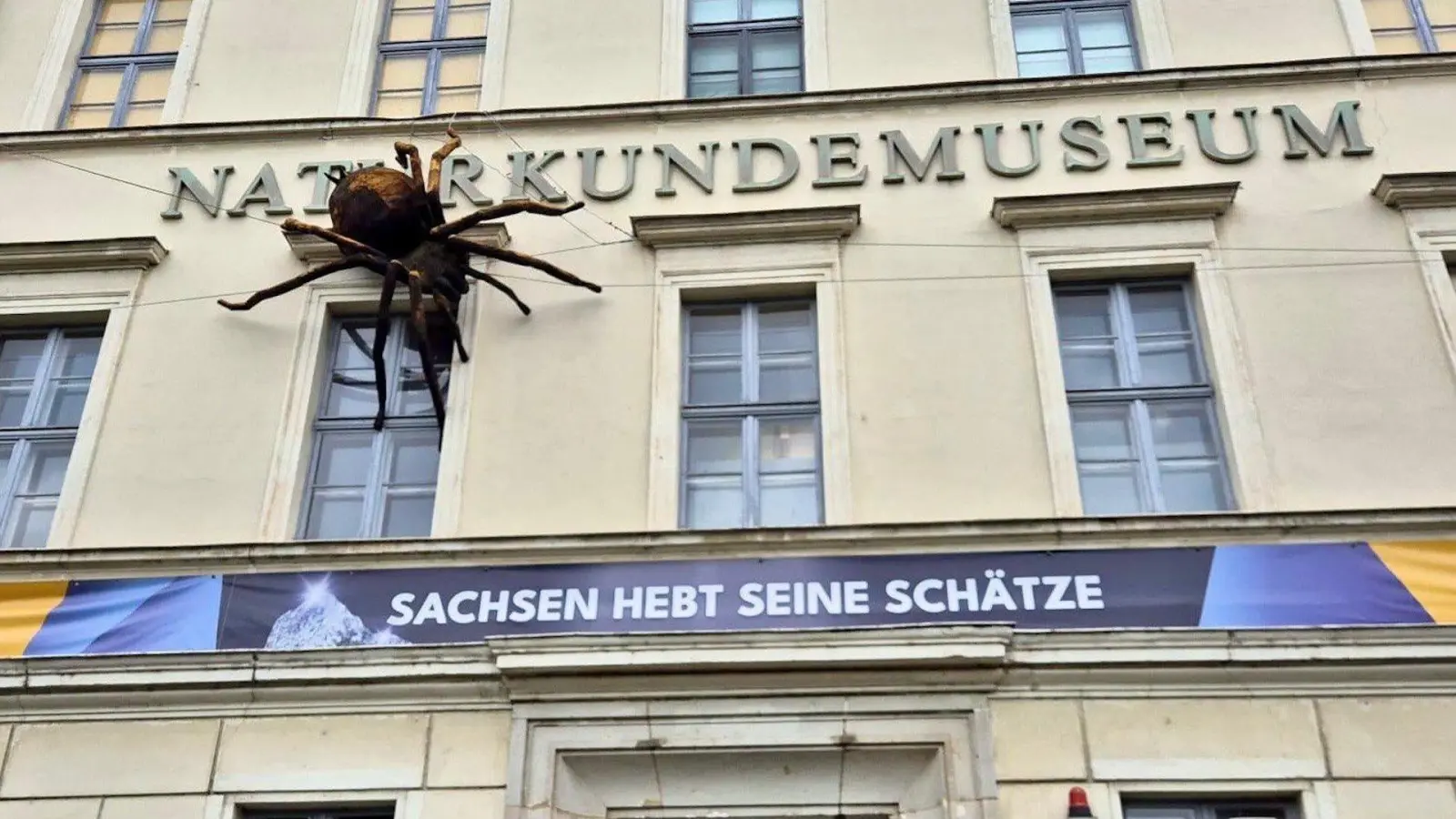 Die Schulfahrt führte die Schüler auch ins Naturkundemuseum (Foto: Grundschule Am Park)