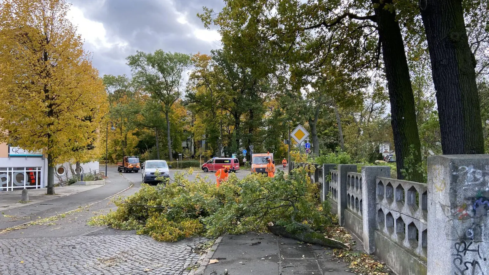 Schwere Sturm- und Orkanlage ab heute Abend möglich (Foto: taucha-kompakt.de)