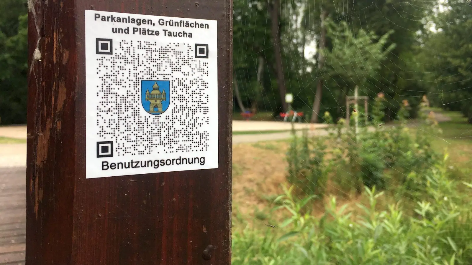 Neue Satzung für Parks und Grünflächen offenbar noch unbekannt (Foto: taucha-kompakt.de)