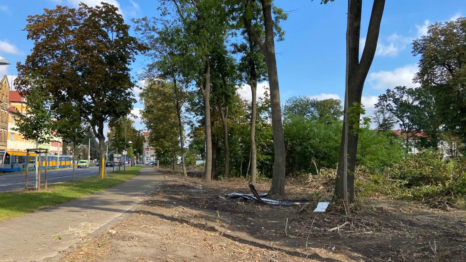 Die Brachfläche an der B87 / Leipziger Straße wird seit Jahrzehnten nicht entwickelt. (Foto: taucha-kompakt.de)