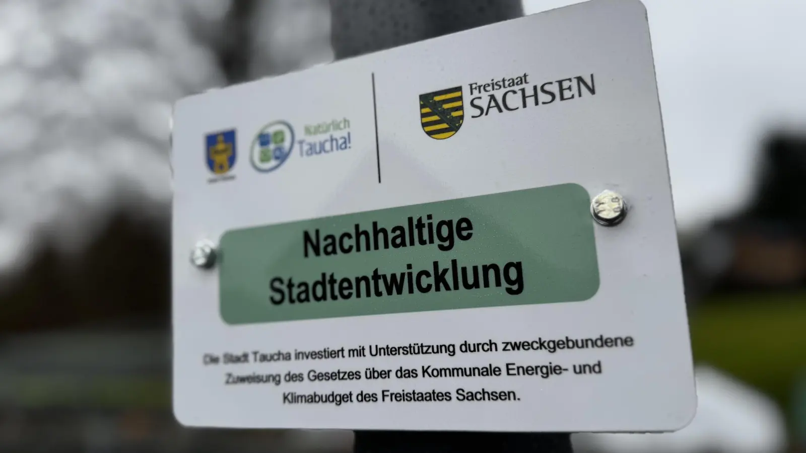 Auch aus dem Energie- und Klimabudget des Freistaats Sachsen kamen Mittel für die Umrüstung im Seegeritzer Weg. (Foto: Daniel Große)