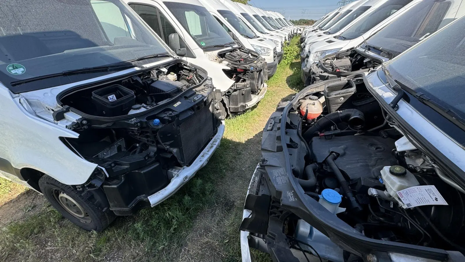 Vier der ausgeschlachteten Transporter (Foto: Daniel Große)