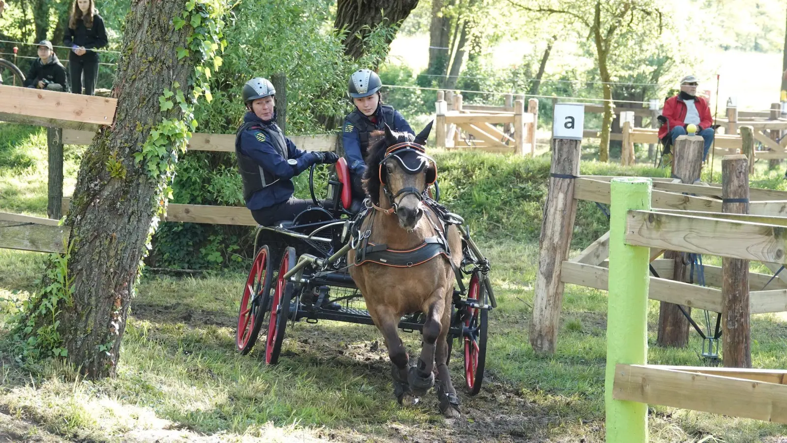 Beim „Kegelfahren” ging es für Tamara und Antje Faber sowie Pony Haribo recht rasant zur Sache (Foto: privat)