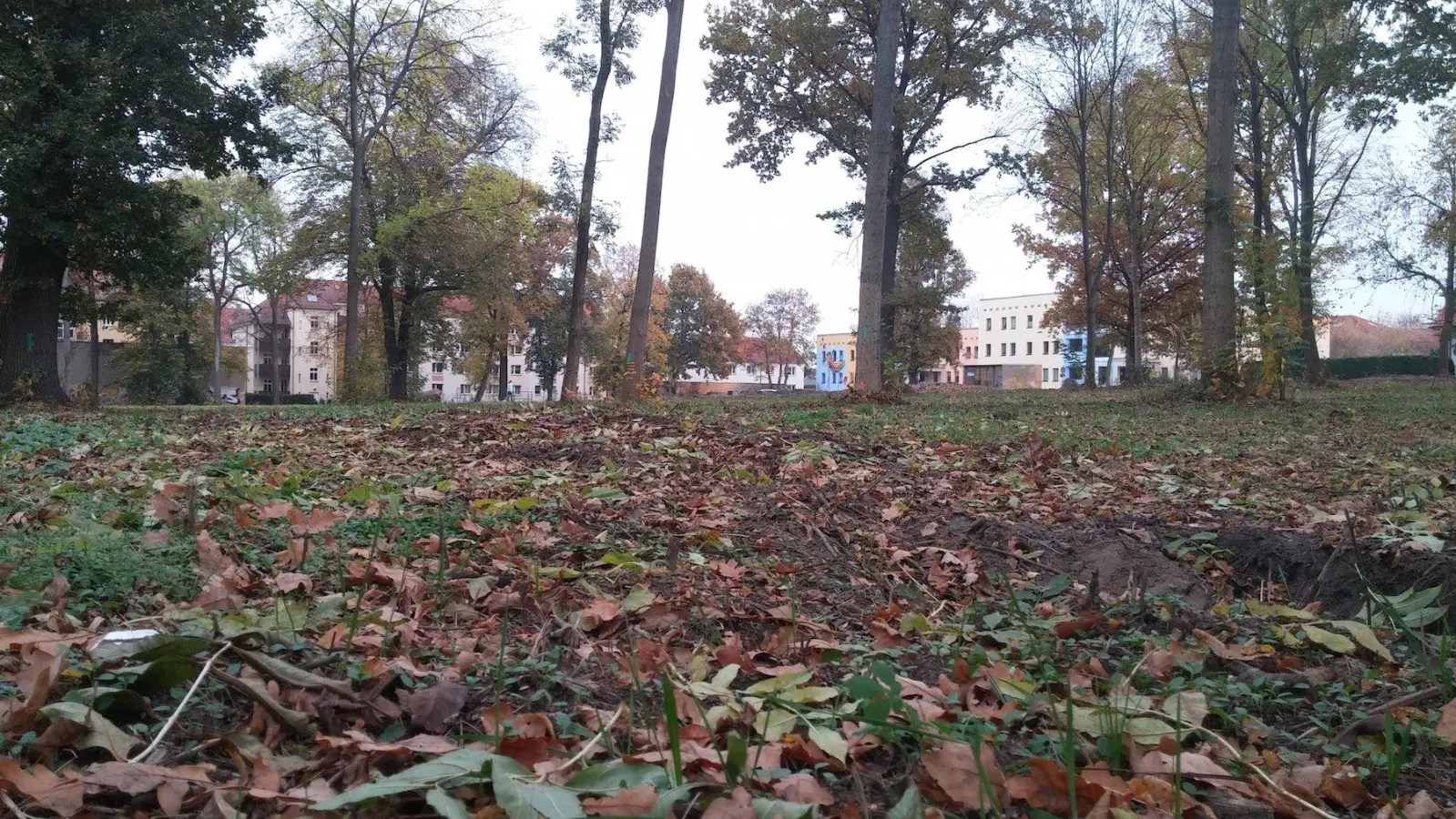 Exklusiv: Neue Häuser an Bogumils Garten? (Foto: taucha-kompakt.de)