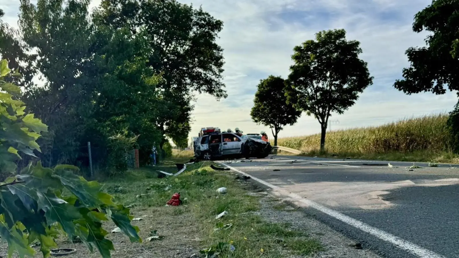 Bei dem Unfall wurden zwei Personen verletzt. (Foto: Freiwillige Feuerwehr Bad Düben)