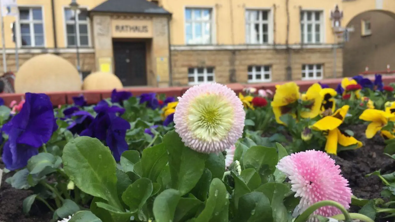 Ein bunter Strauß an Parteien und Bündnissen will zur Stadtratswahl antreten. (Archivbild: Daniel Große)